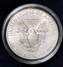 Silver Eagle-2013 .999 fine silver