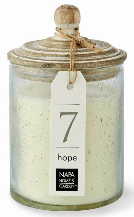 HOPE Gray Oak Soy Wax Scented Jar Candle by Napa Home & Garden